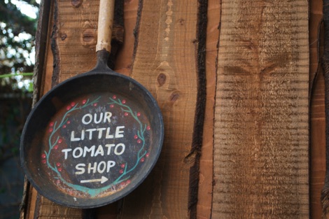 Little Tomato Shop, Fridheimar